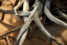 FLORIAN BISON | PHOTOGRAPHER & DIRECTOR