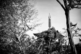 FLORIAN BISON | PHOTOGRAPHER & DIRECTOR