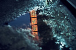 FLORIAN BISON | PHOTOGRAPHER & DIRECTOR