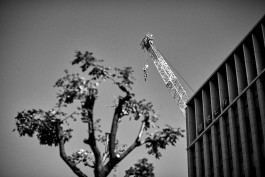 FLORIAN BISON | PHOTOGRAPHER & DIRECTOR