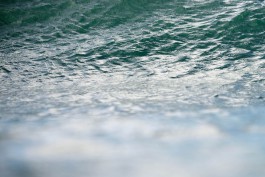 FLORIAN BISON | PHOTOGRAPHER & DIRECTOR