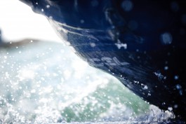 FLORIAN BISON | PHOTOGRAPHER & DIRECTOR