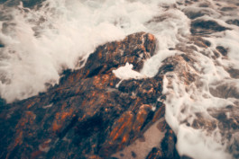 FLORIAN BISON | PHOTOGRAPHER & DIRECTOR