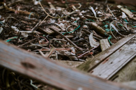 FLORIAN BISON | PHOTOGRAPHER & DIRECTOR