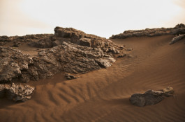 FLORIAN BISON | PHOTOGRAPHER & DIRECTOR