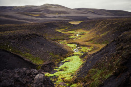 FLORIAN BISON | PHOTOGRAPHER & DIRECTOR