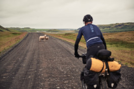 FLORIAN BISON | PHOTOGRAPHER & DIRECTOR