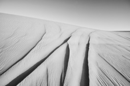 FLORIAN BISON | PHOTOGRAPHER & DIRECTOR