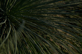 FLORIAN BISON | PHOTOGRAPHER & DIRECTOR