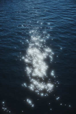 FLORIAN BISON | PHOTOGRAPHER & DIRECTOR